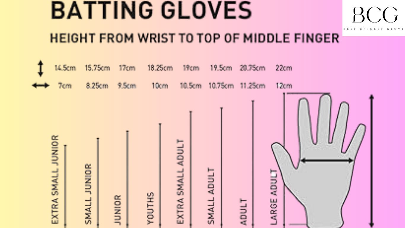 Find Your Perfect Fit:The Complete Guide to Cricket Batting Glove Sizes